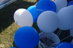 64751006_354837151901153_8211275521971978240_n